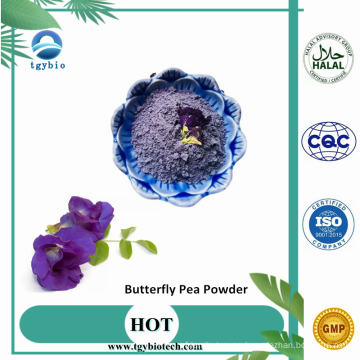 Suministro la mariposa Pea Flower Powder Butterfly Pea polvo